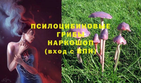 скорость Бронницы